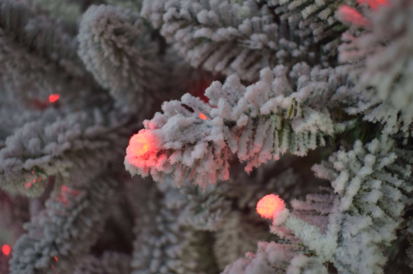 Meilleures ventes : Sapin de N - Home Decor Lighting Manufacturer avis et prix