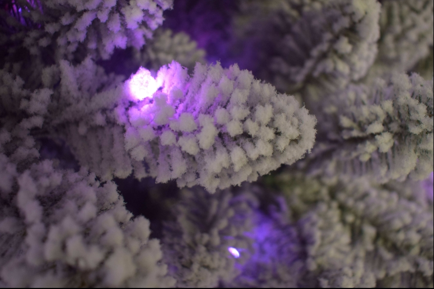 Meilleures ventes : Sapin de N - Home Decor Lighting Manufacturer avis et prix
