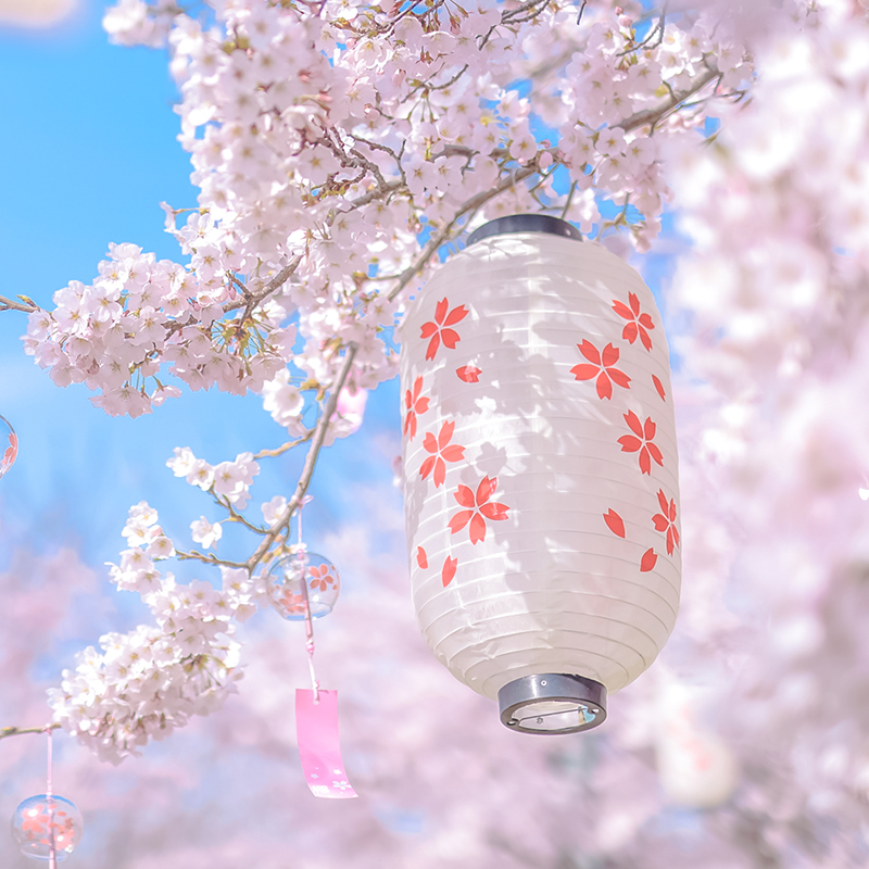 Lanterne suspendue japonaise M - Restaurant Lighting Decoration avis et prix